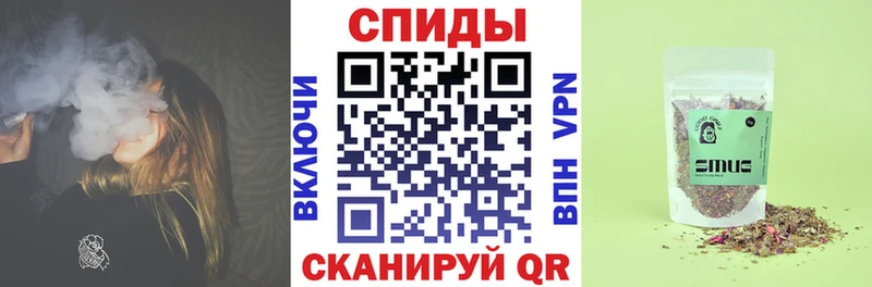 БУТИРАТ буратино  Купить  Кашин 