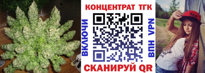 Купить закладки  Кашин  ТГК концентрат 